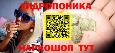 прущая мука Кимры