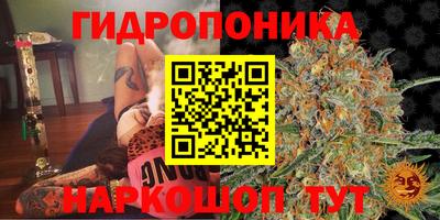 скорость Кандалакша